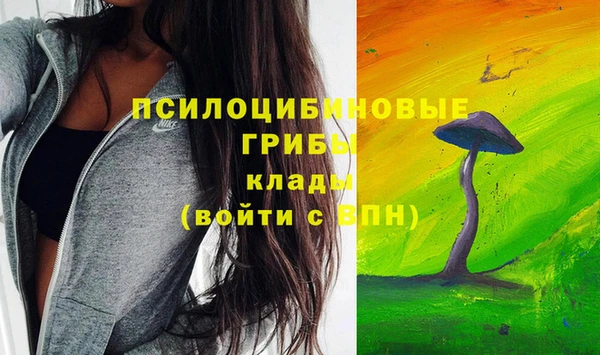 спайс Приозерск